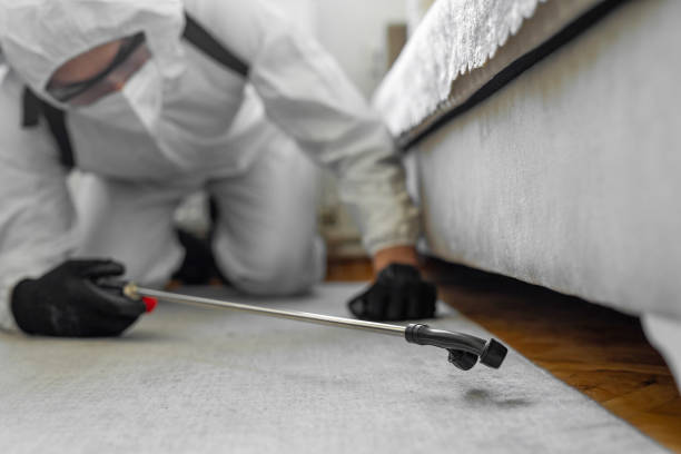 Professional Ant Control technician working in La Conner, WA
